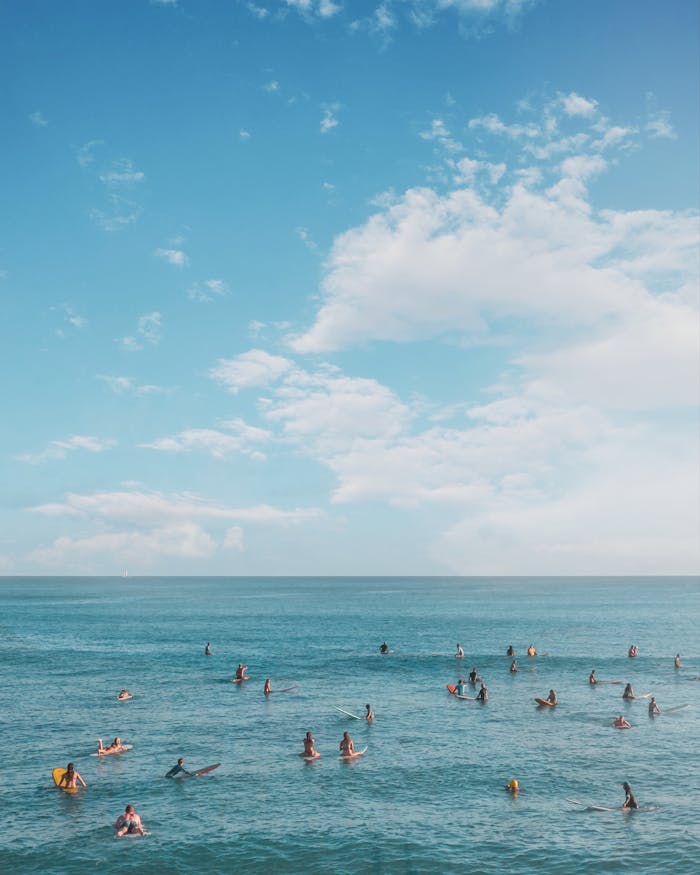 Surfers and swimmers enjoy a sunny day on a pristine beach in Honolulu, capturing the vibrant island life.